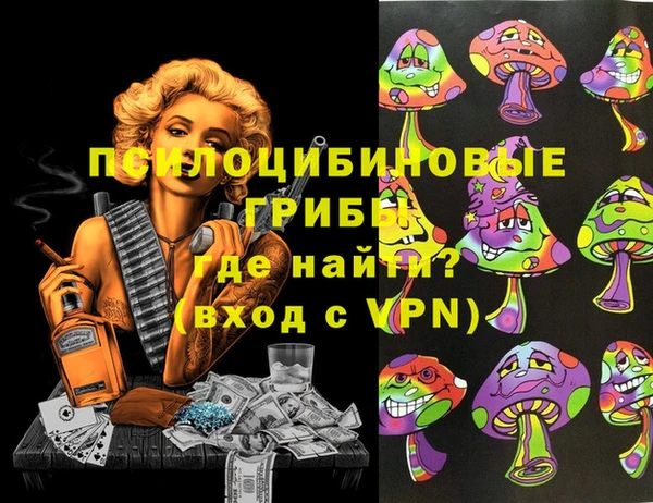 крисы Армянск