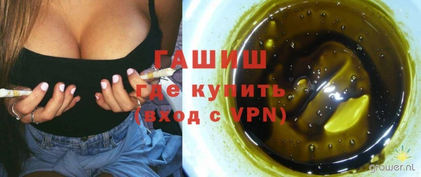 крисы Армянск