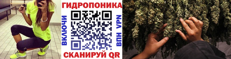 где найти blacksprut ссылка Марихуана сатива Лесосибирск